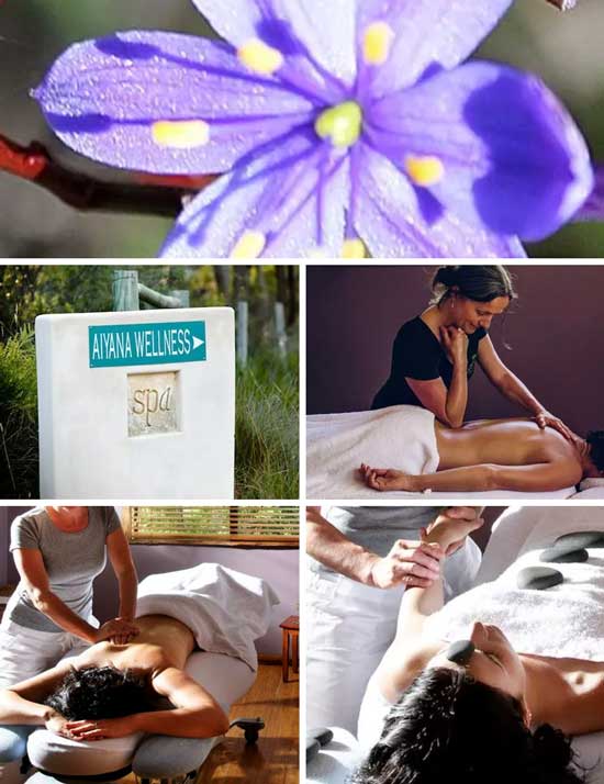 Aiyana Wellness